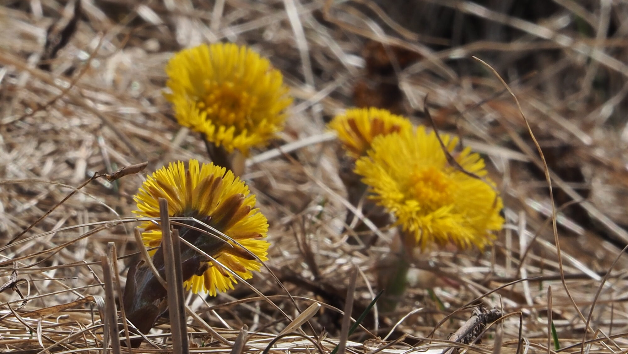 Valokuvaaja: Arja Valtonen