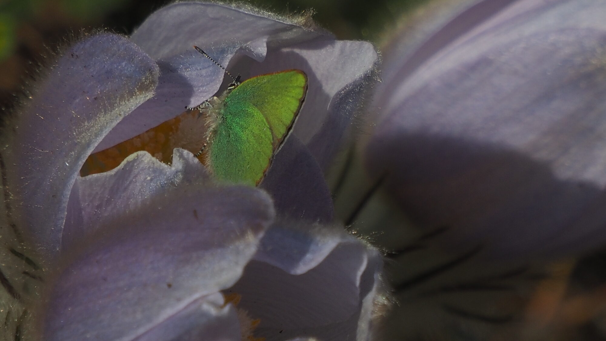 Valokuvaaja: Arja Valtonen