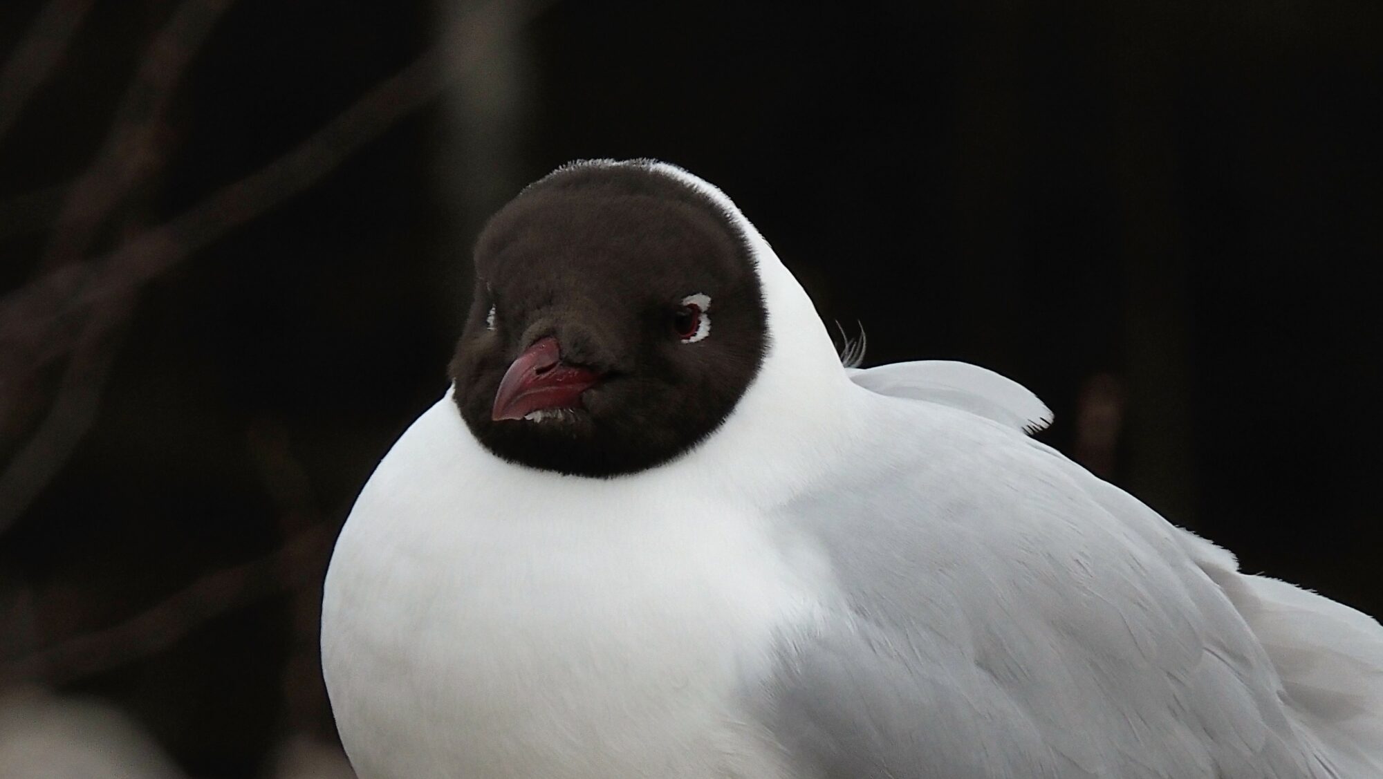 Valokuvaaja: Arja Valtonen