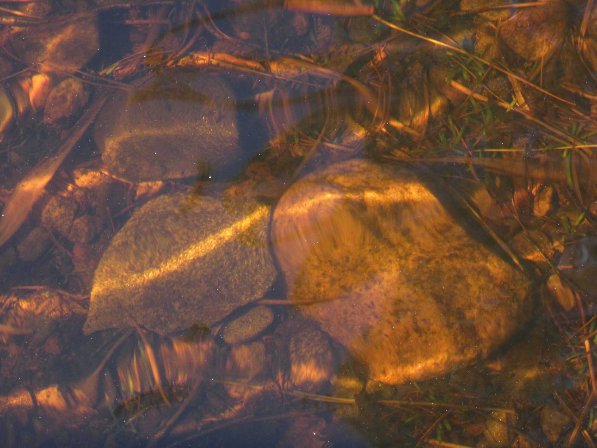 Valokuvaaja: Marita Portin