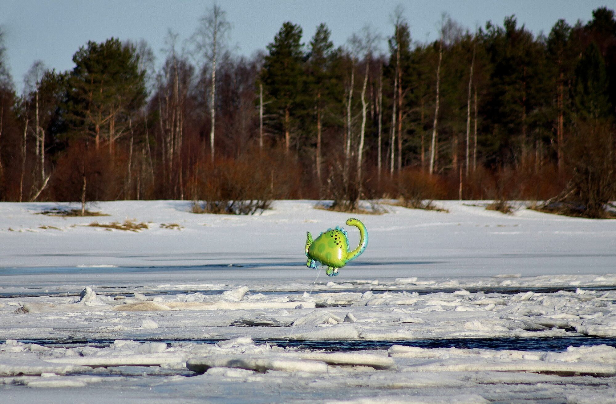 Valokuvaaja: Pirkko Siukonen