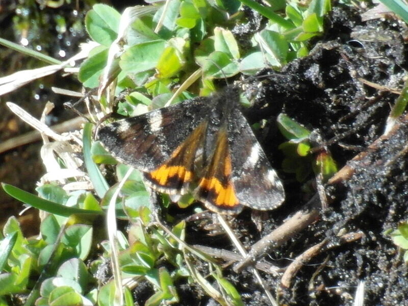 Valokuvaaja: Kari Hämeenaho