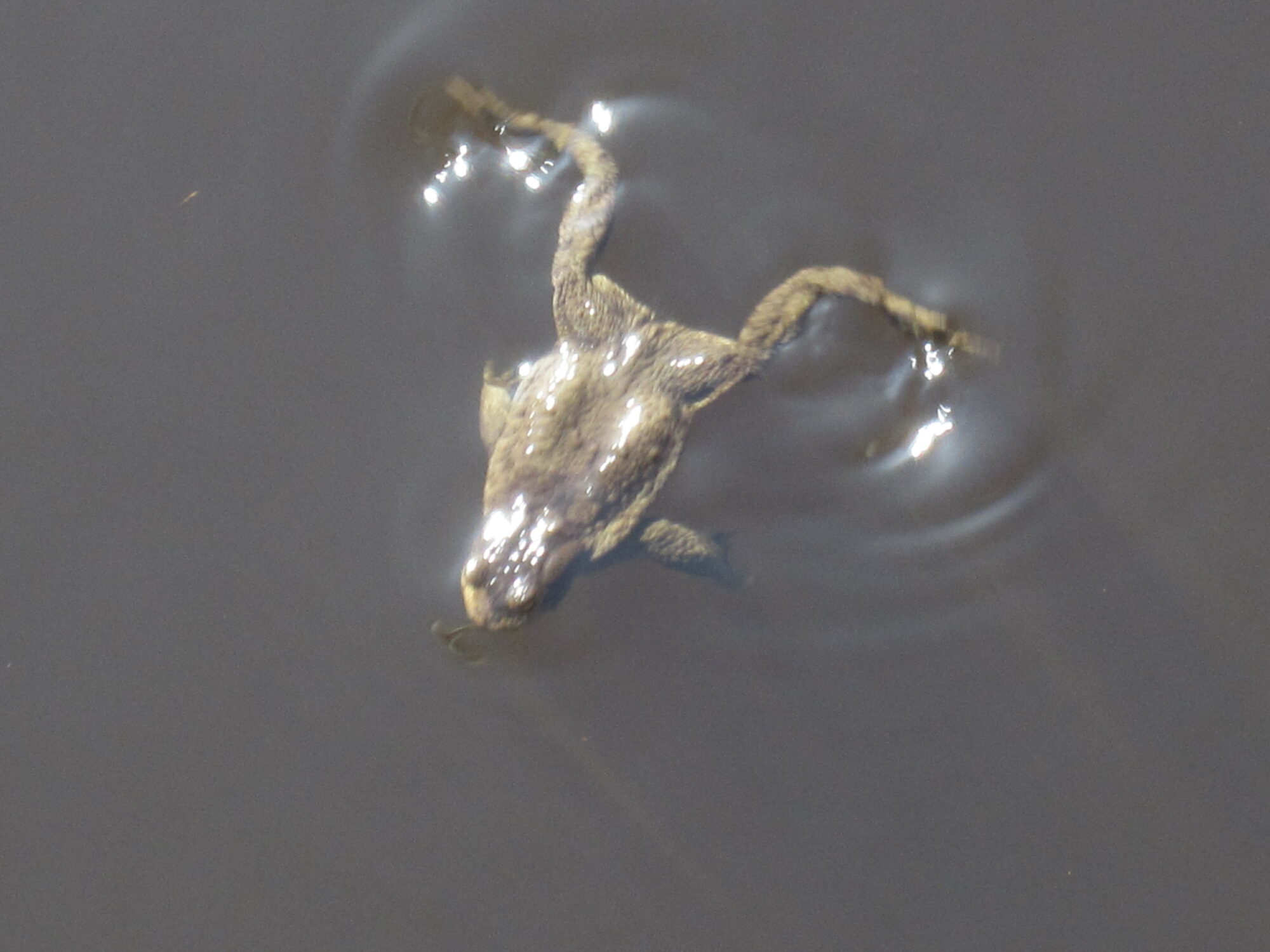 Valokuvaaja: Marita Portin