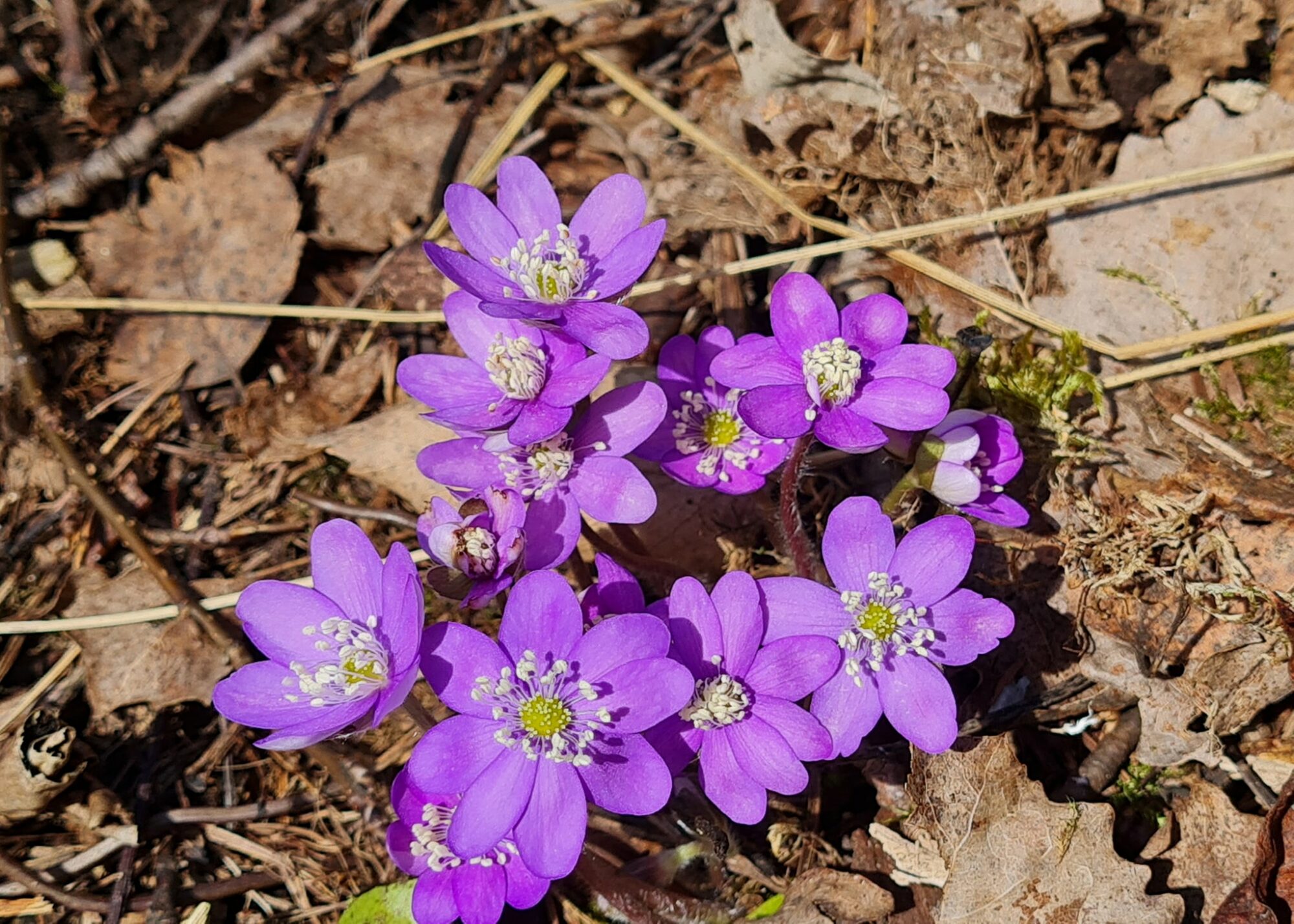 Valokuvaaja: Mari Ahtola