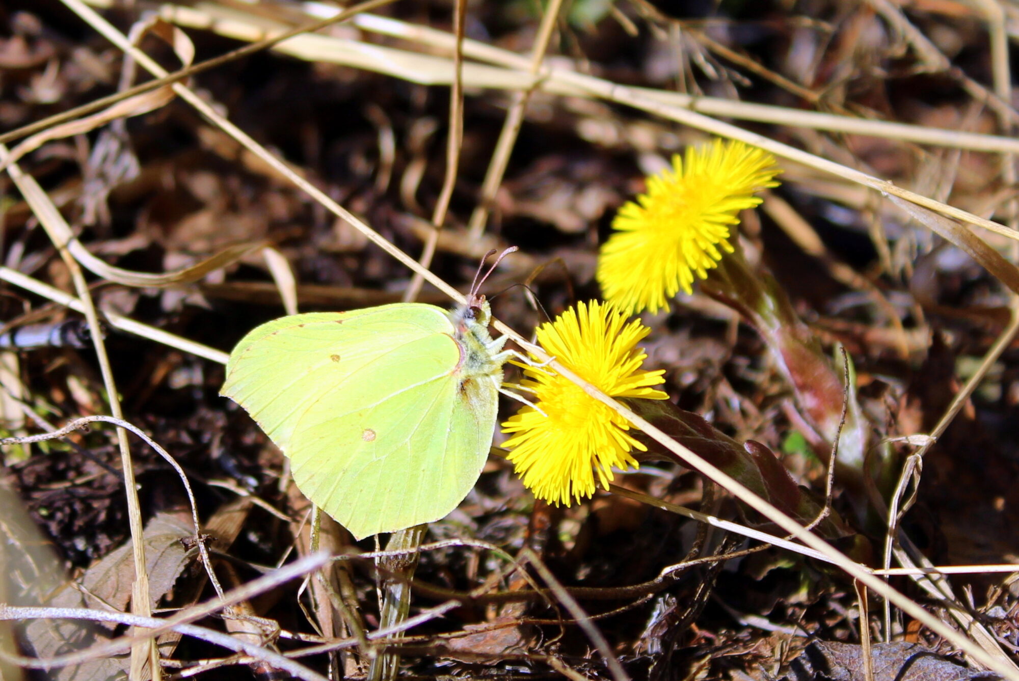 Valokuvaaja: Paula Savelius