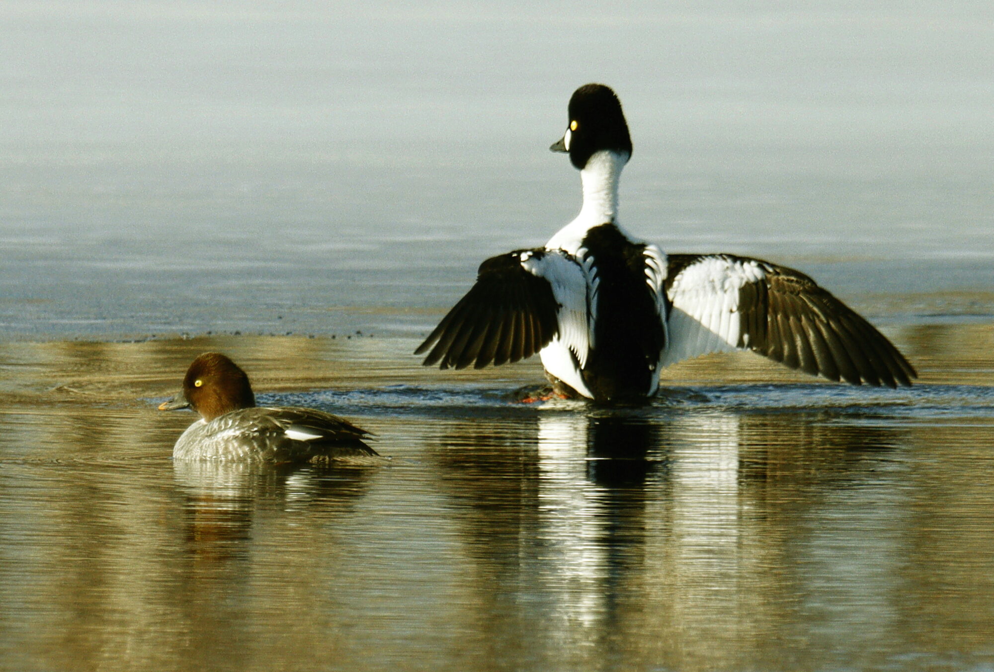 Valokuvaaja: Ritva Nieminen