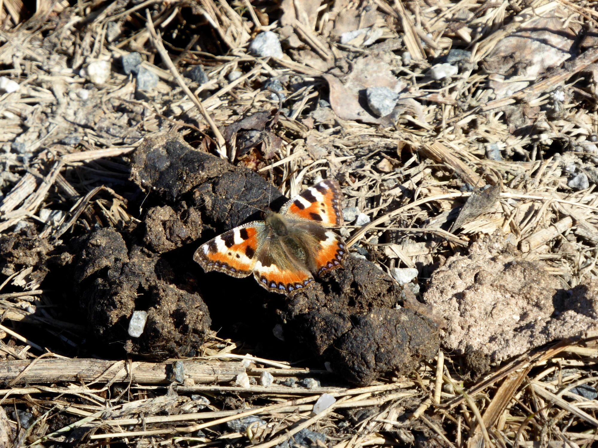 Valokuvaaja: Toni Asikainen