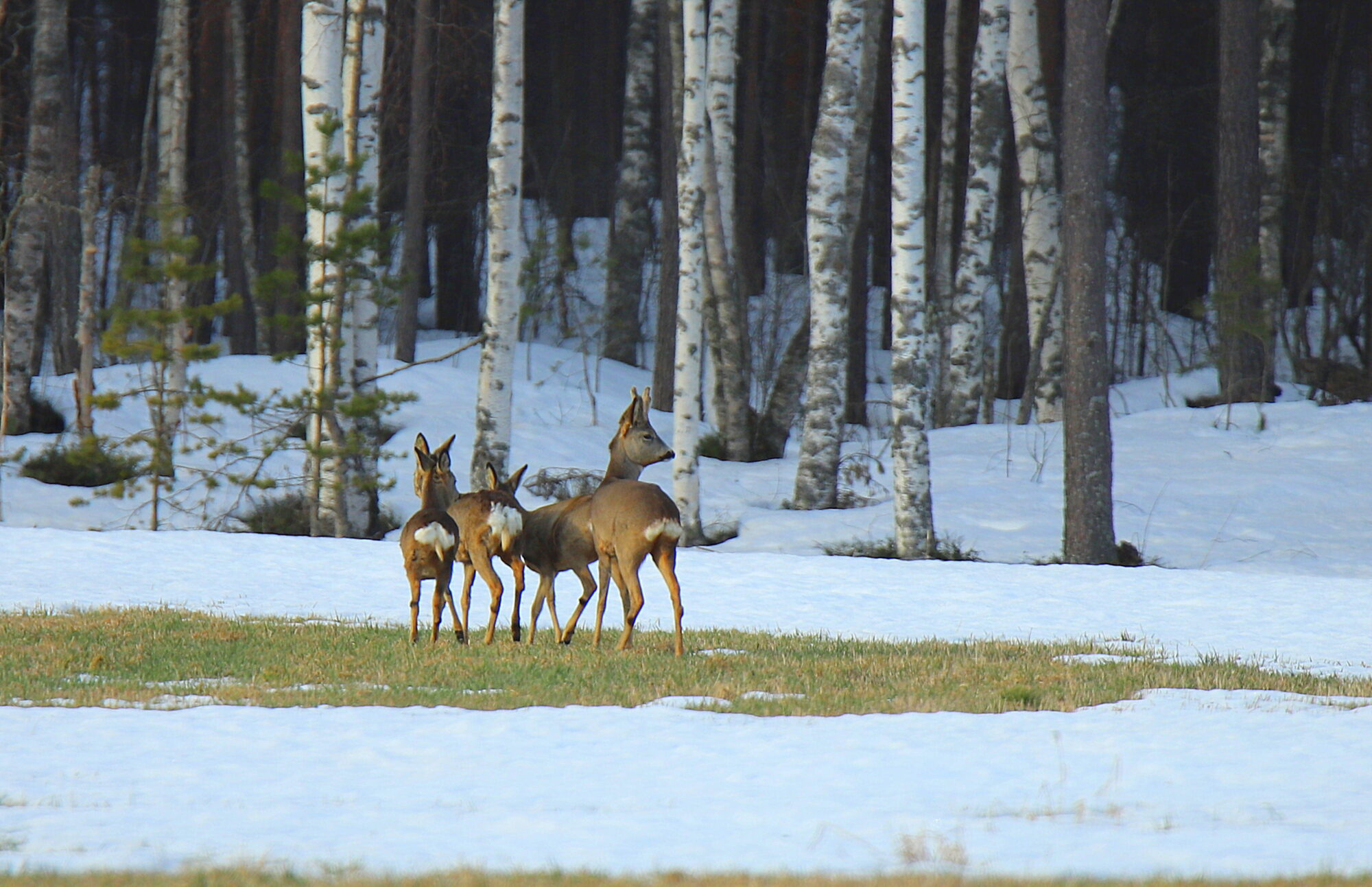 Valokuvaaja: sirpa jyske
