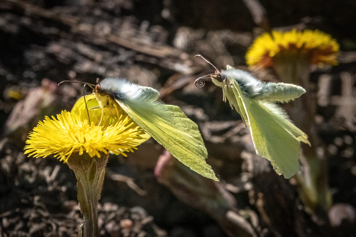 Valokuvaaja: Ari Kaarakainen