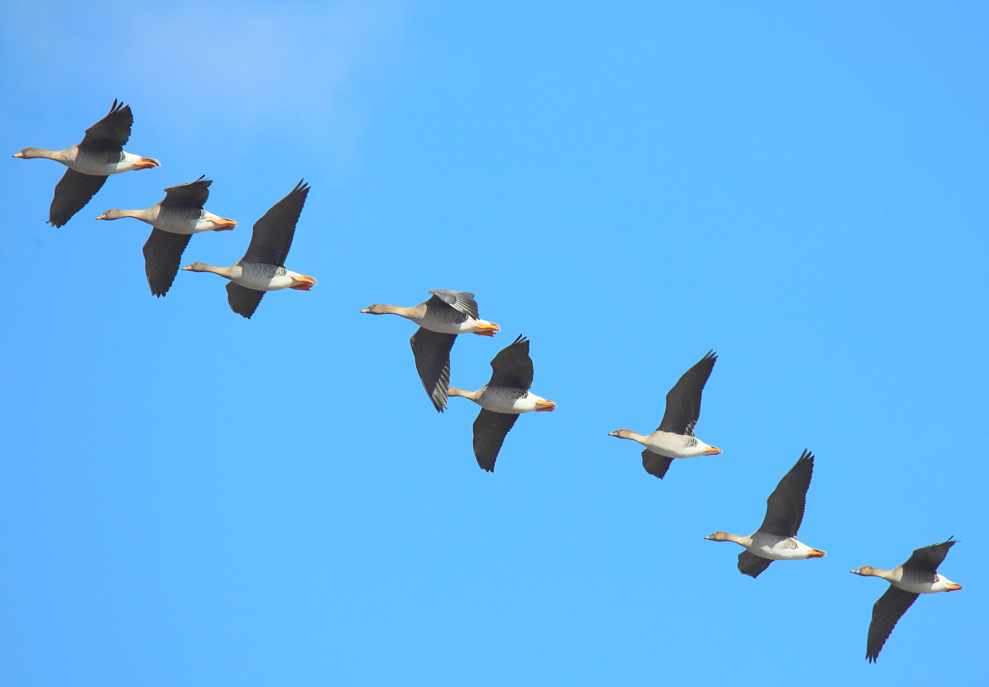 Valokuvaaja: sirpa jyske