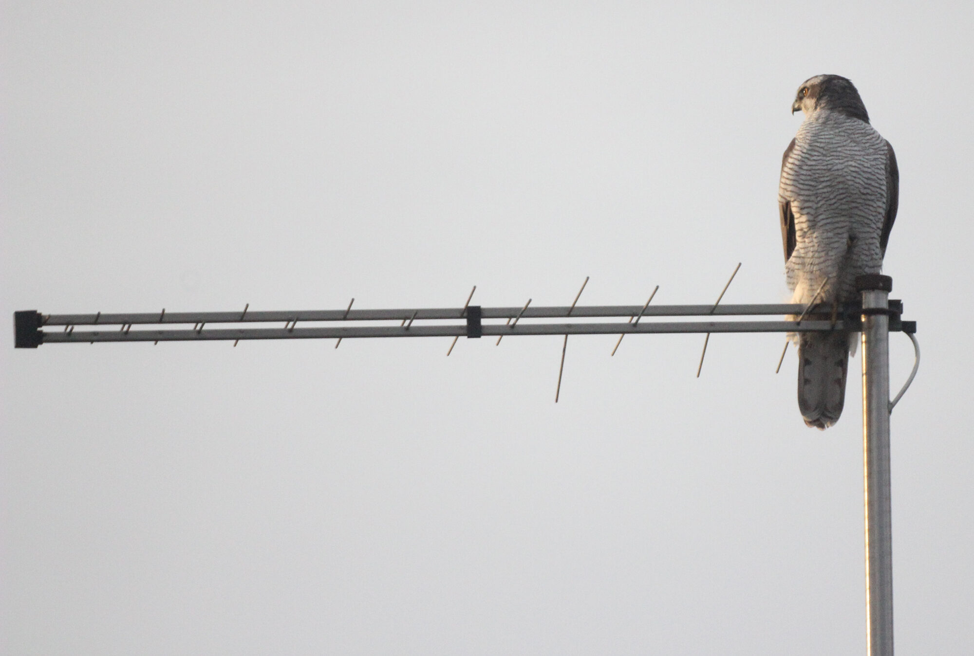Valokuvaaja: Tom Aalto