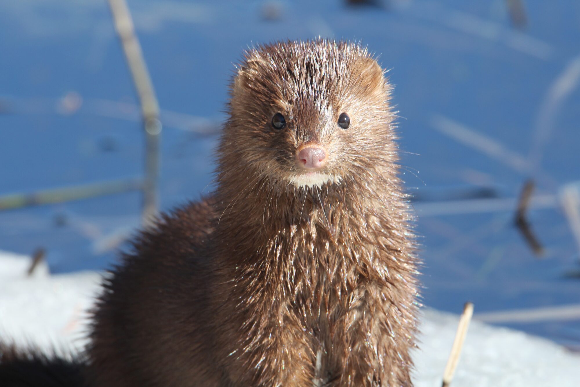 Valokuvaaja: Jaana Saarelainen