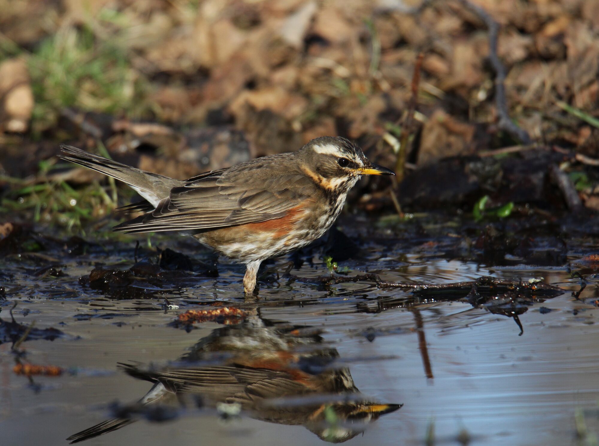Valokuvaaja: Jaana Saarelainen