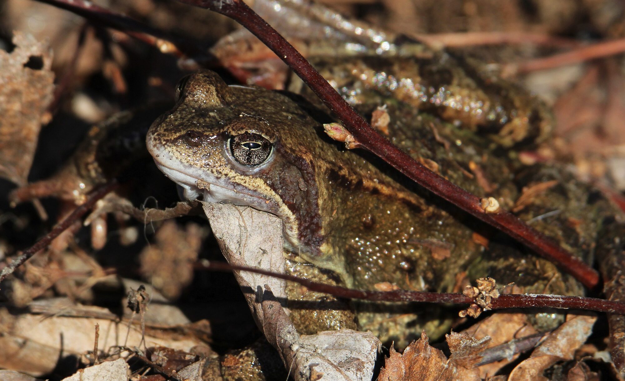 Valokuvaaja: Jaana Saarelainen