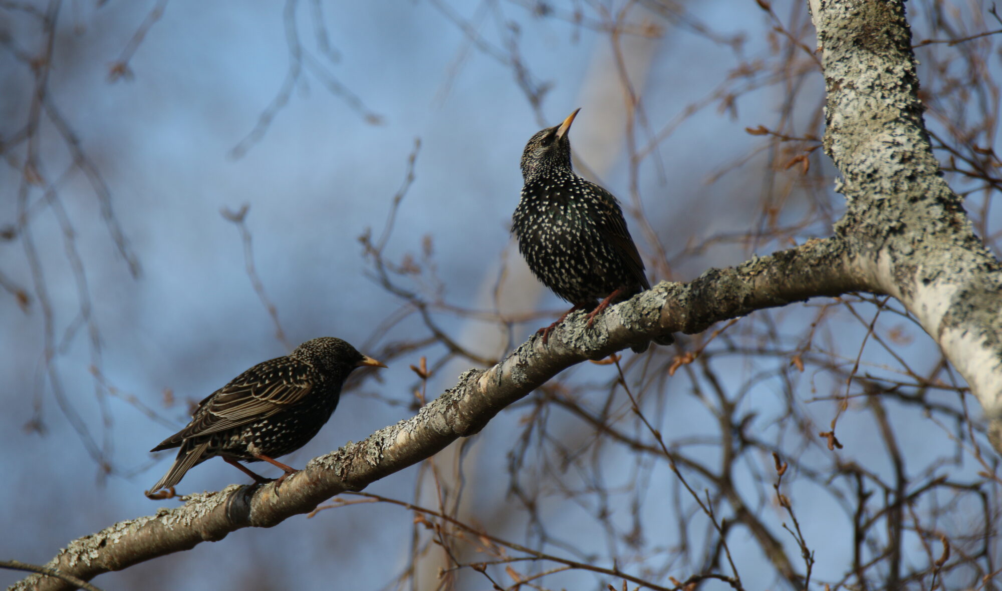 Valokuvaaja: Ahti Keränen