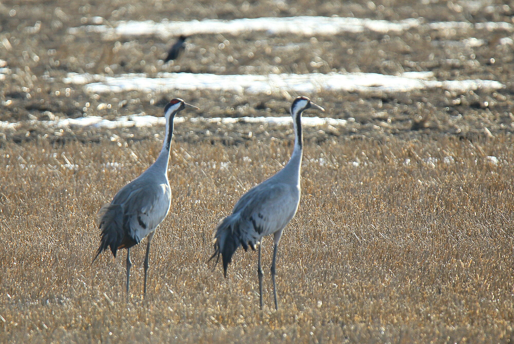 Valokuvaaja: sirpa jyske