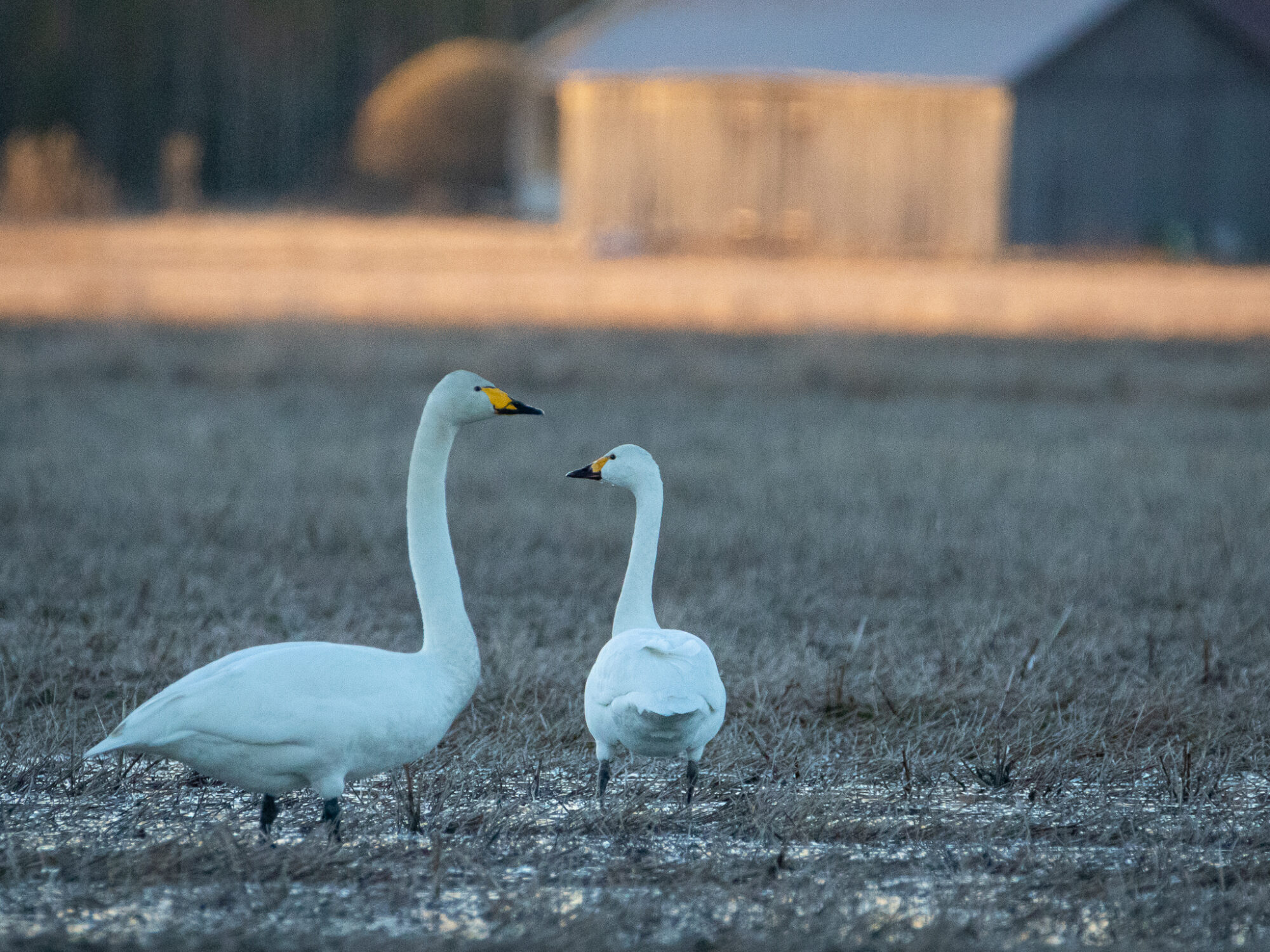Valokuvaaja: Juha Jokinen