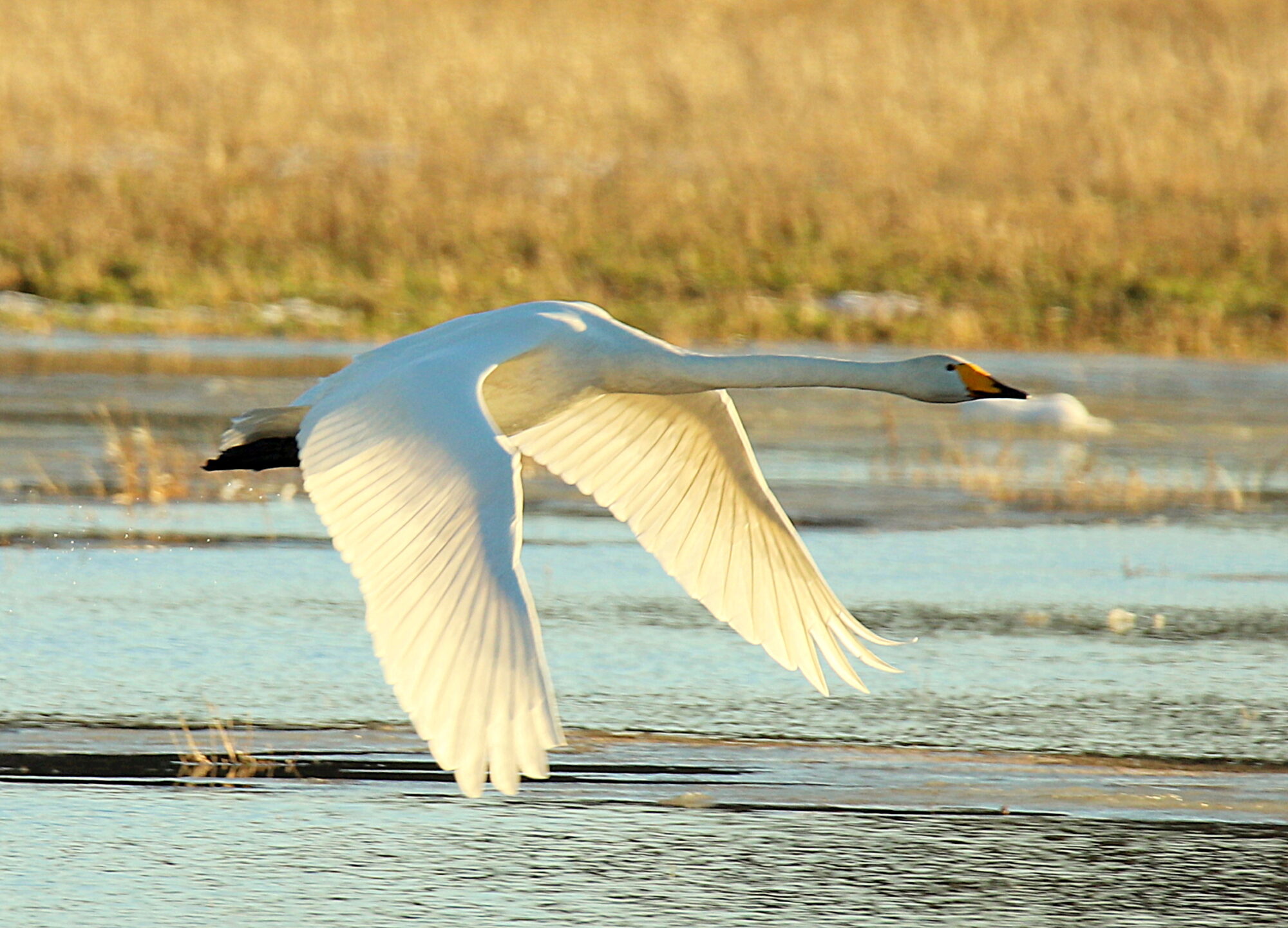 Valokuvaaja: sirpa jyske