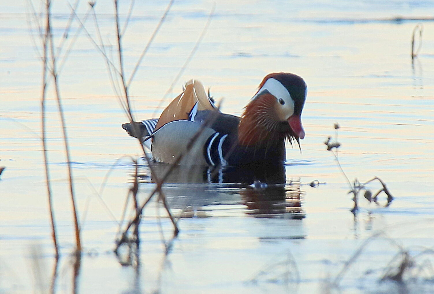 Valokuvaaja: sirpa jyske