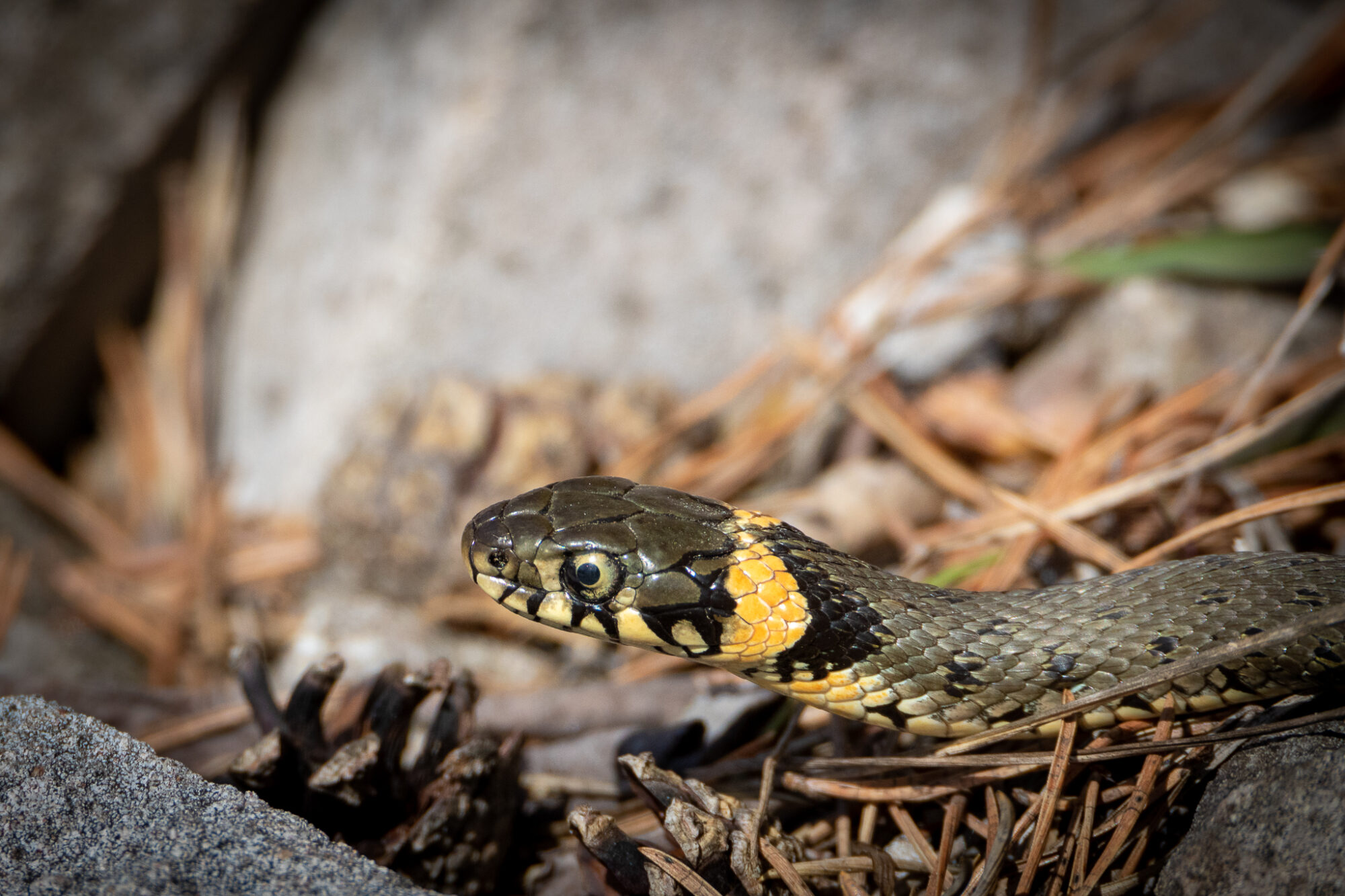 Valokuvaaja: Juha Jokinen