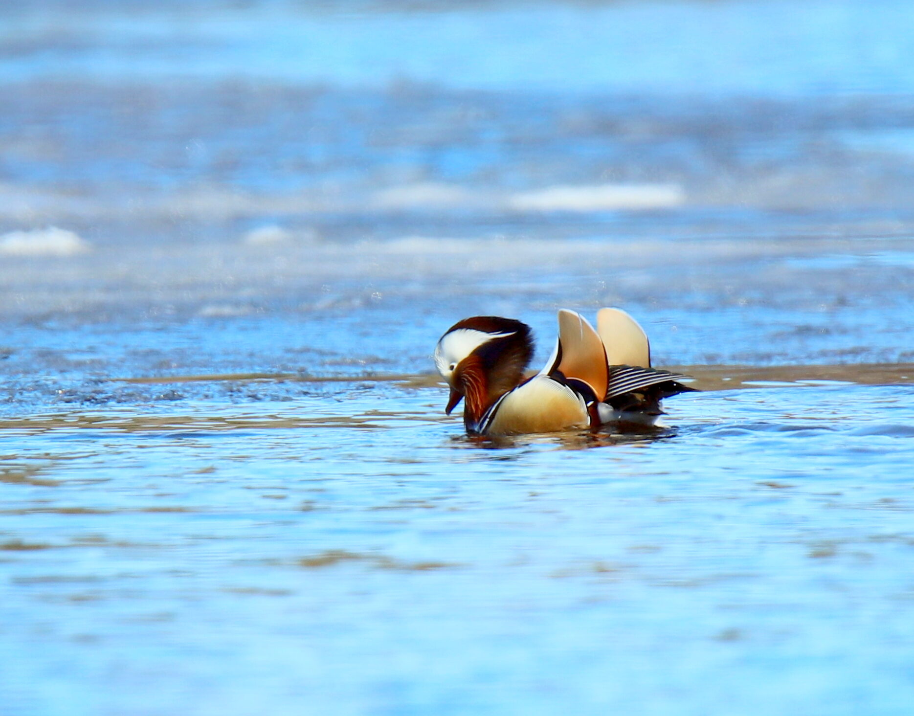 Valokuvaaja: sirpa jyske