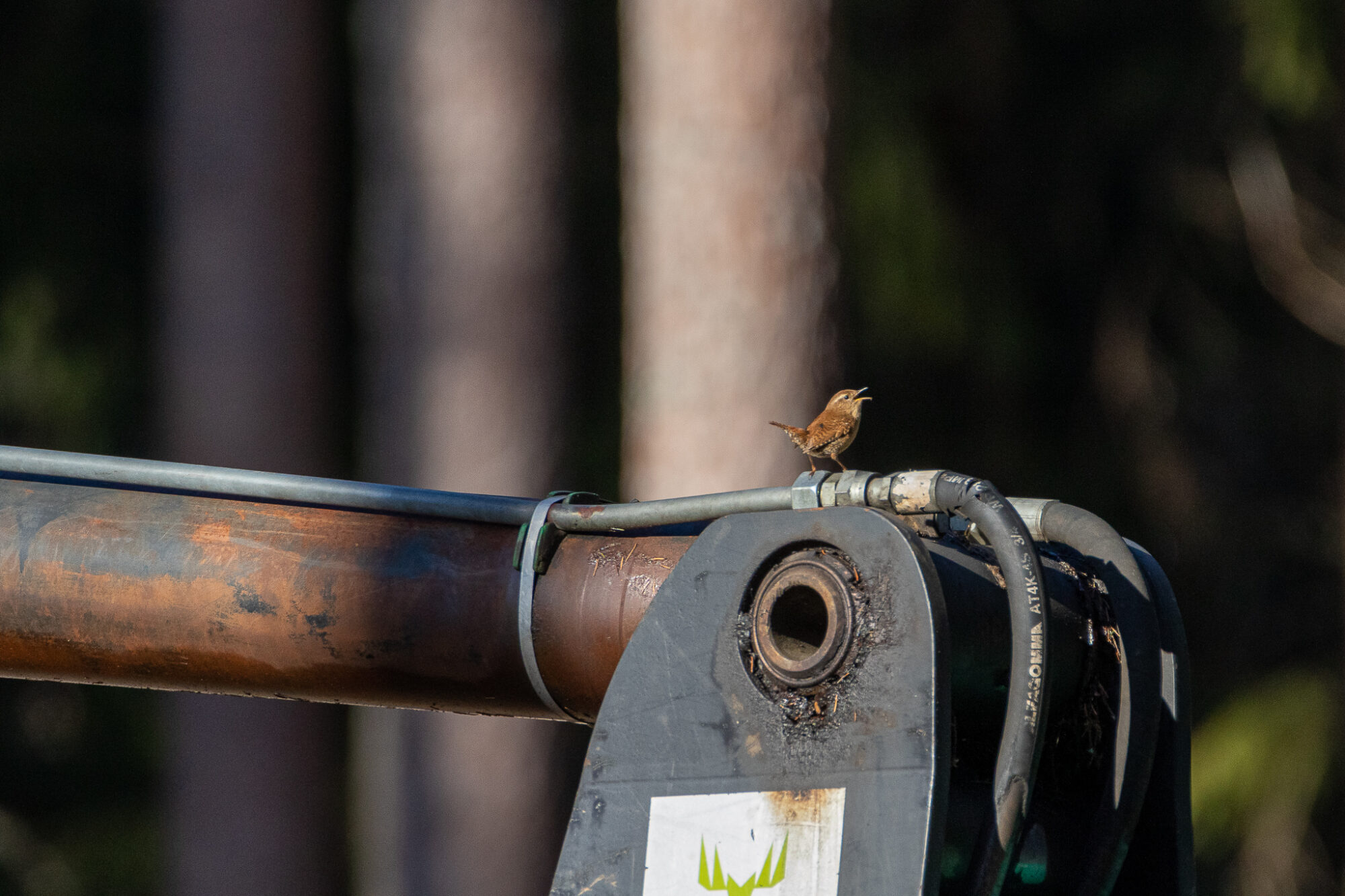 Valokuvaaja: Juha Jokinen