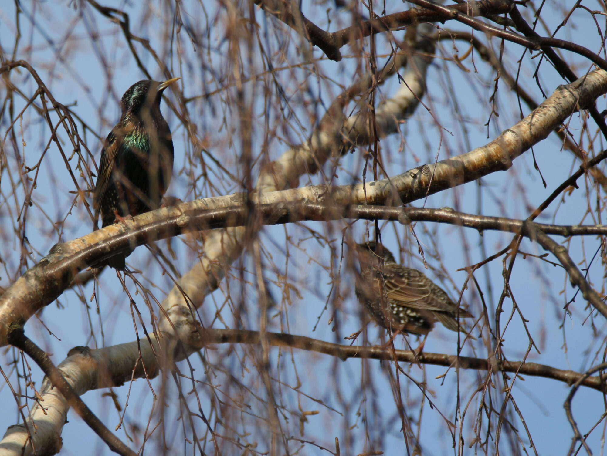 Valokuvaaja: Ahti Keränen