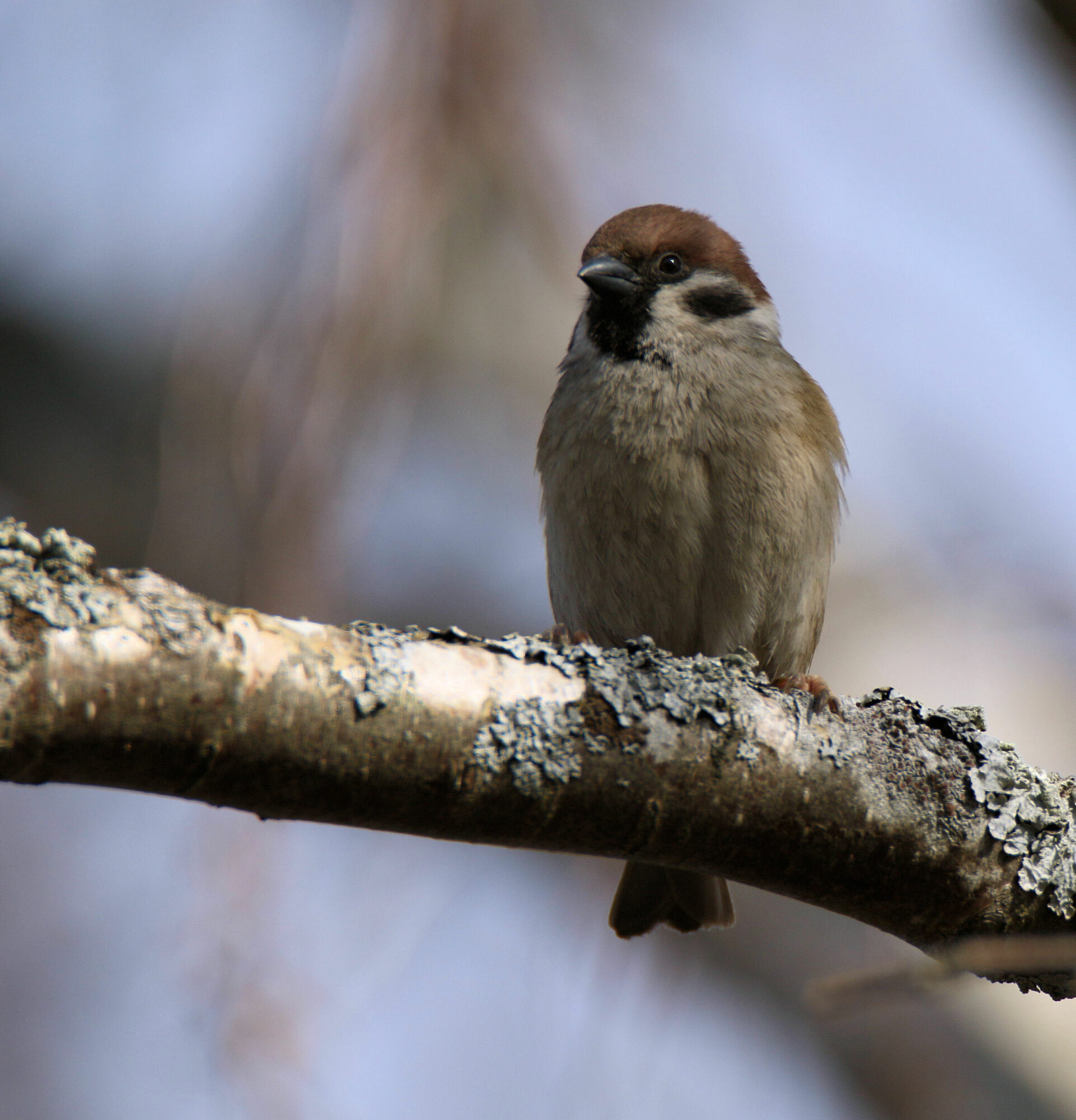 Valokuvaaja: Ahti Keränen