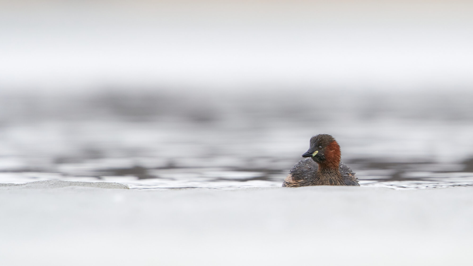 Valokuvaaja: Lauri Ylinen