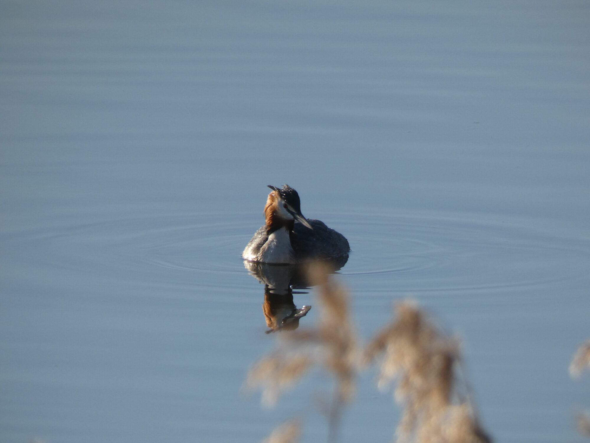 Valokuvaaja: Eero Peltonen