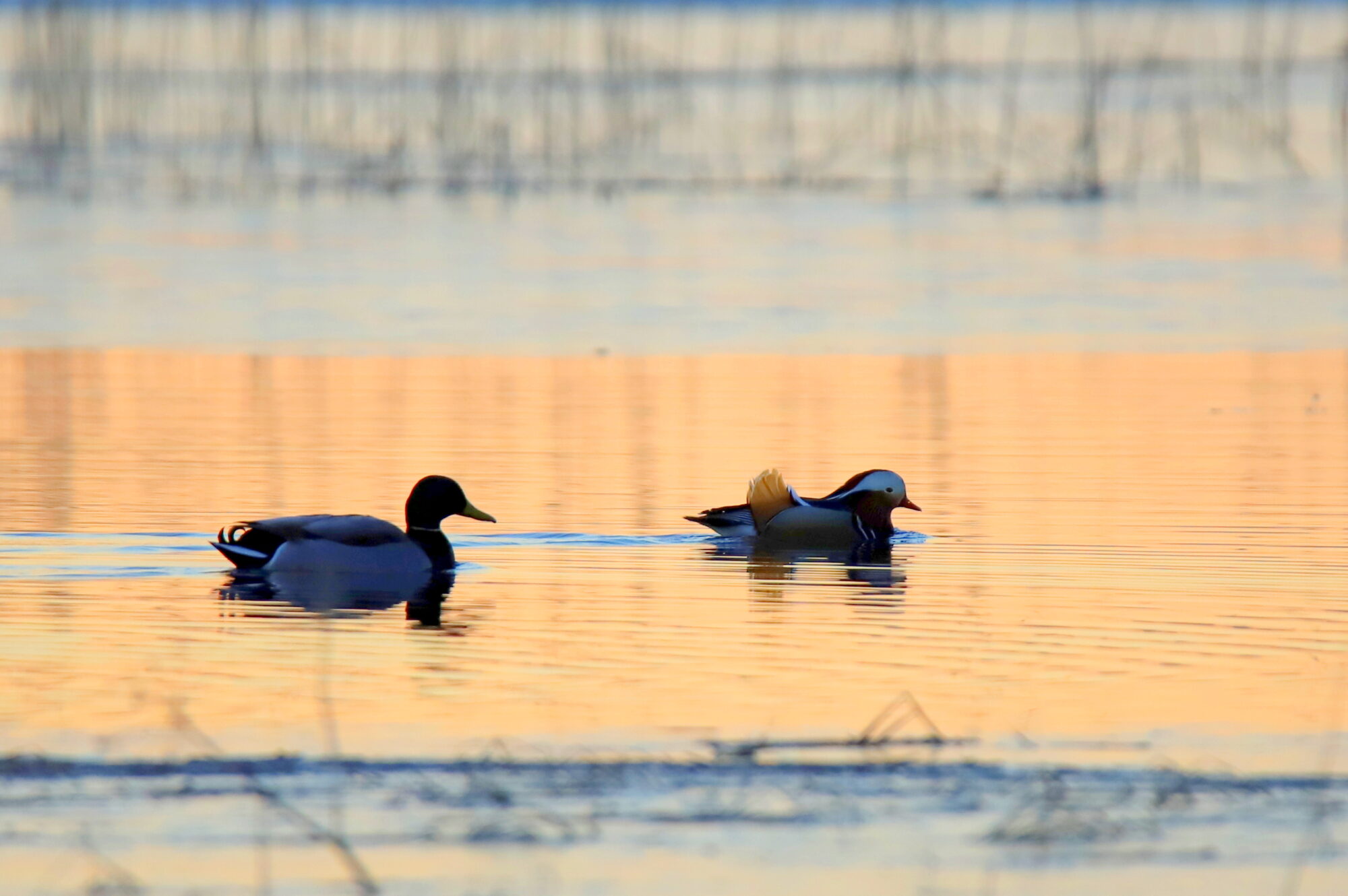 Valokuvaaja: sirpa jyske