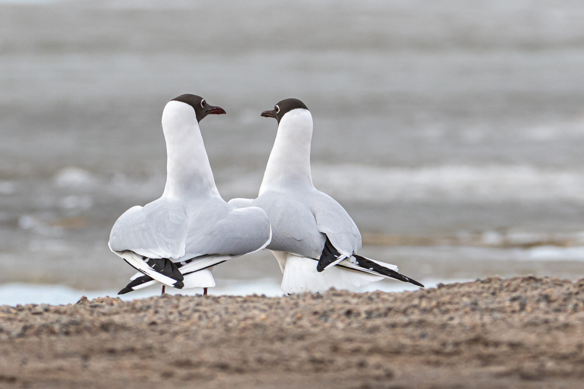 Valokuvaaja: Juha Jokinen