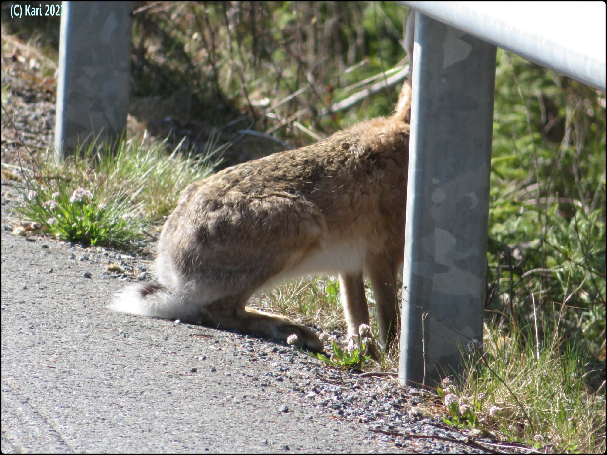 Valokuvaaja: Kari Saarinen Valokuvaaja: Kari Saarinen