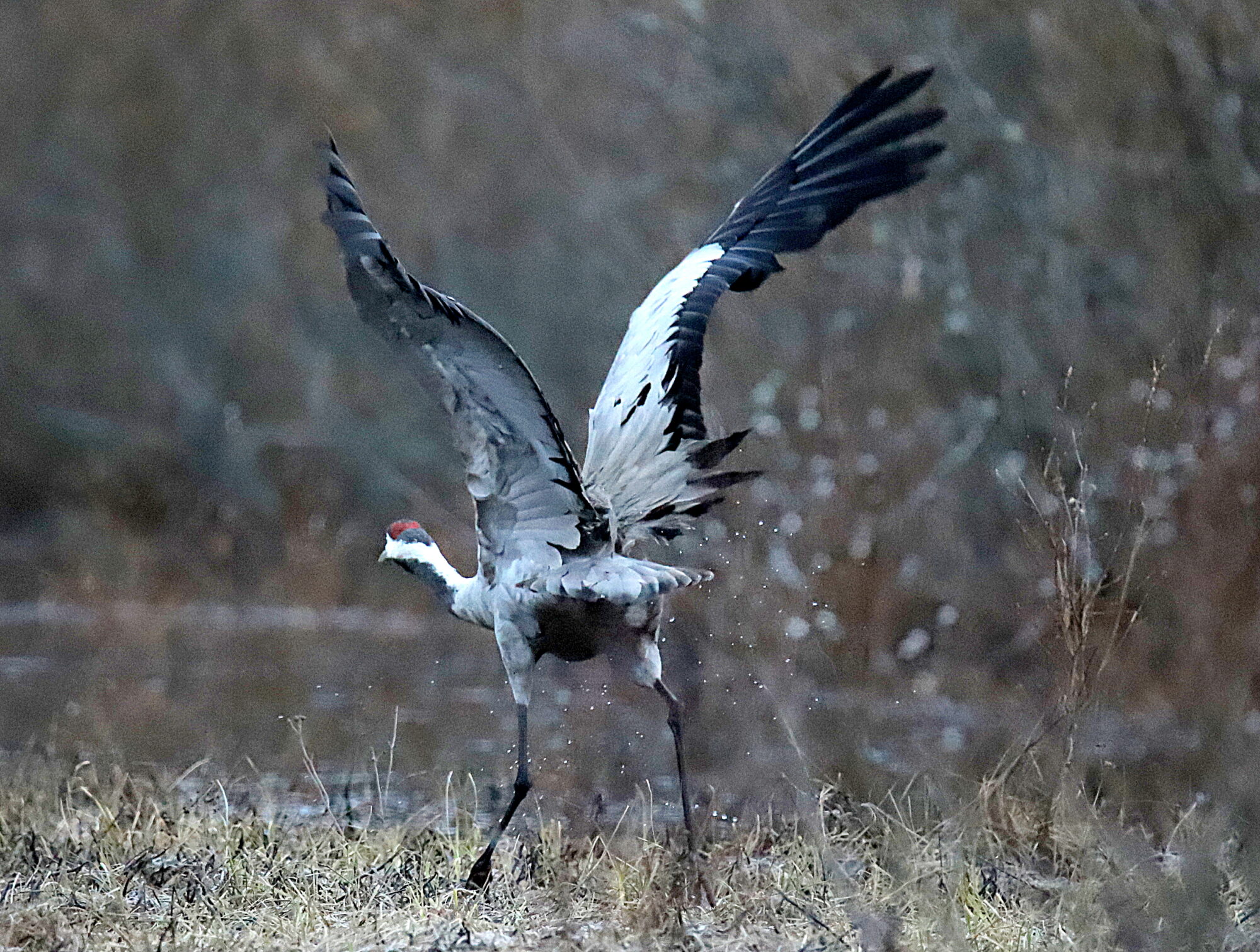 Valokuvaaja: sirpa jyske