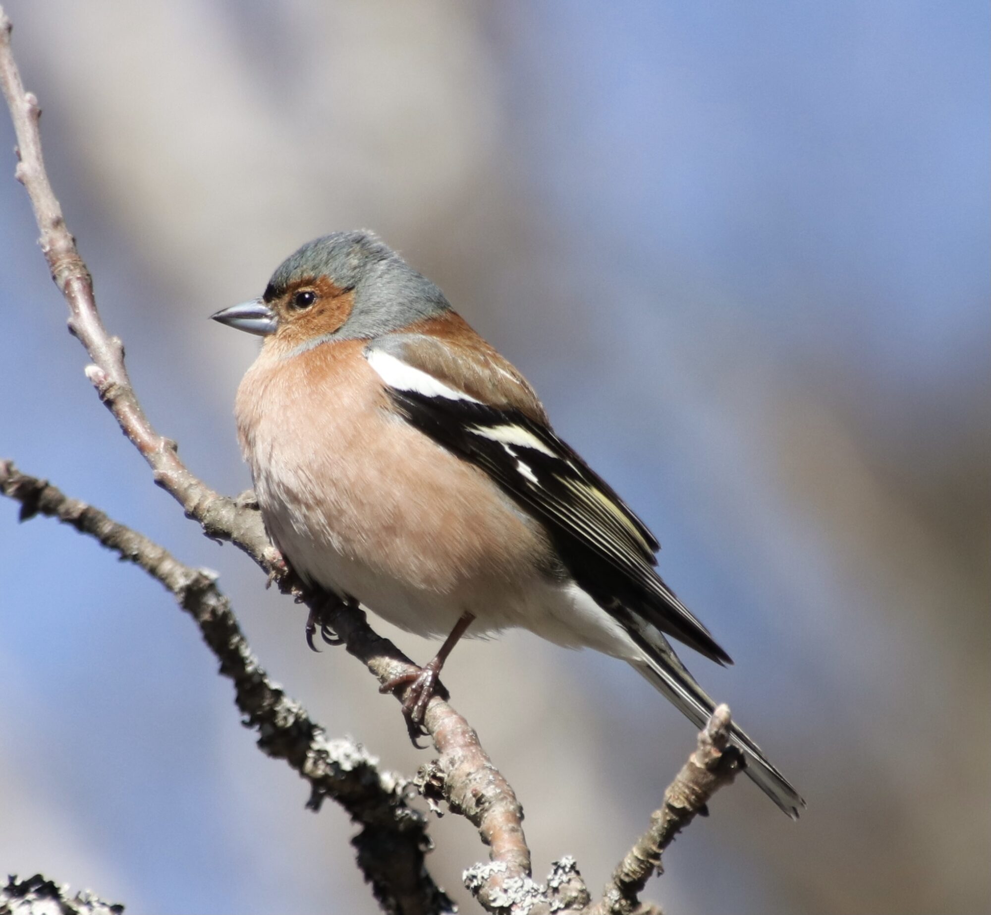 Valokuvaaja: Eveliina Koivisto Valokuvaaja: Eveliina Koivisto