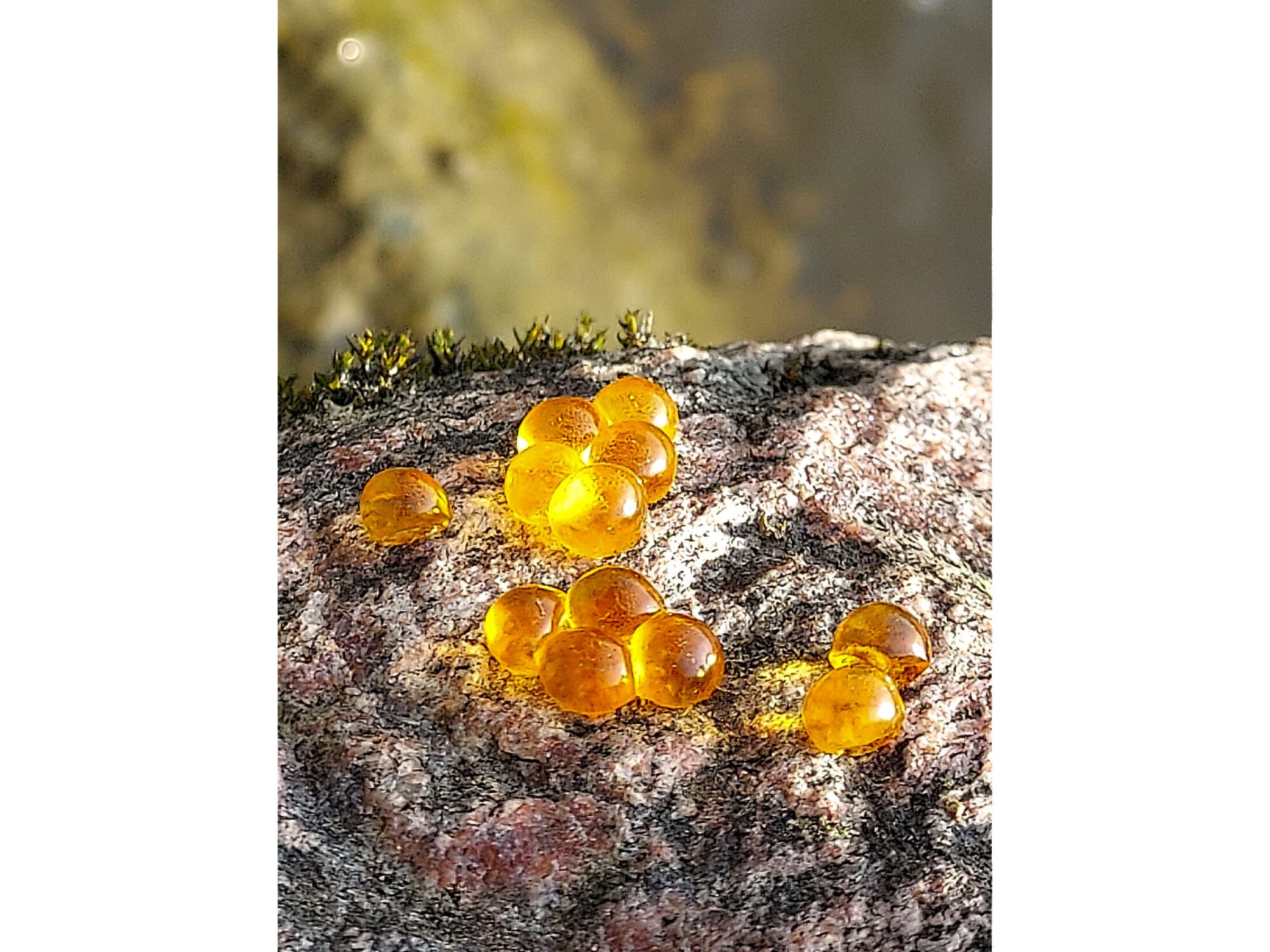 Valokuvaaja: Anu Pajukari Valokuvaaja: Anu Pajukari