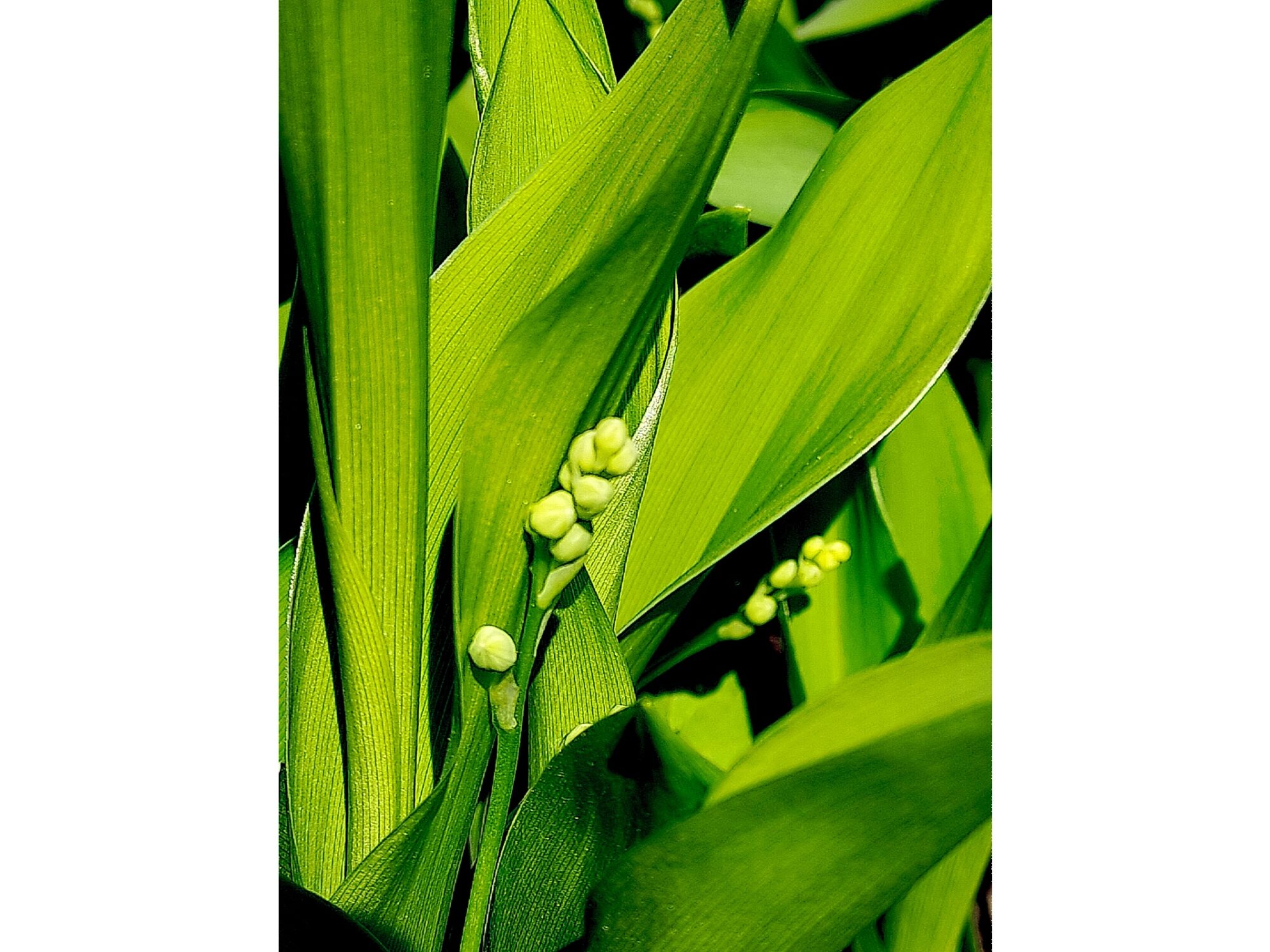 Valokuvaaja: Anu-Maarit Salminen