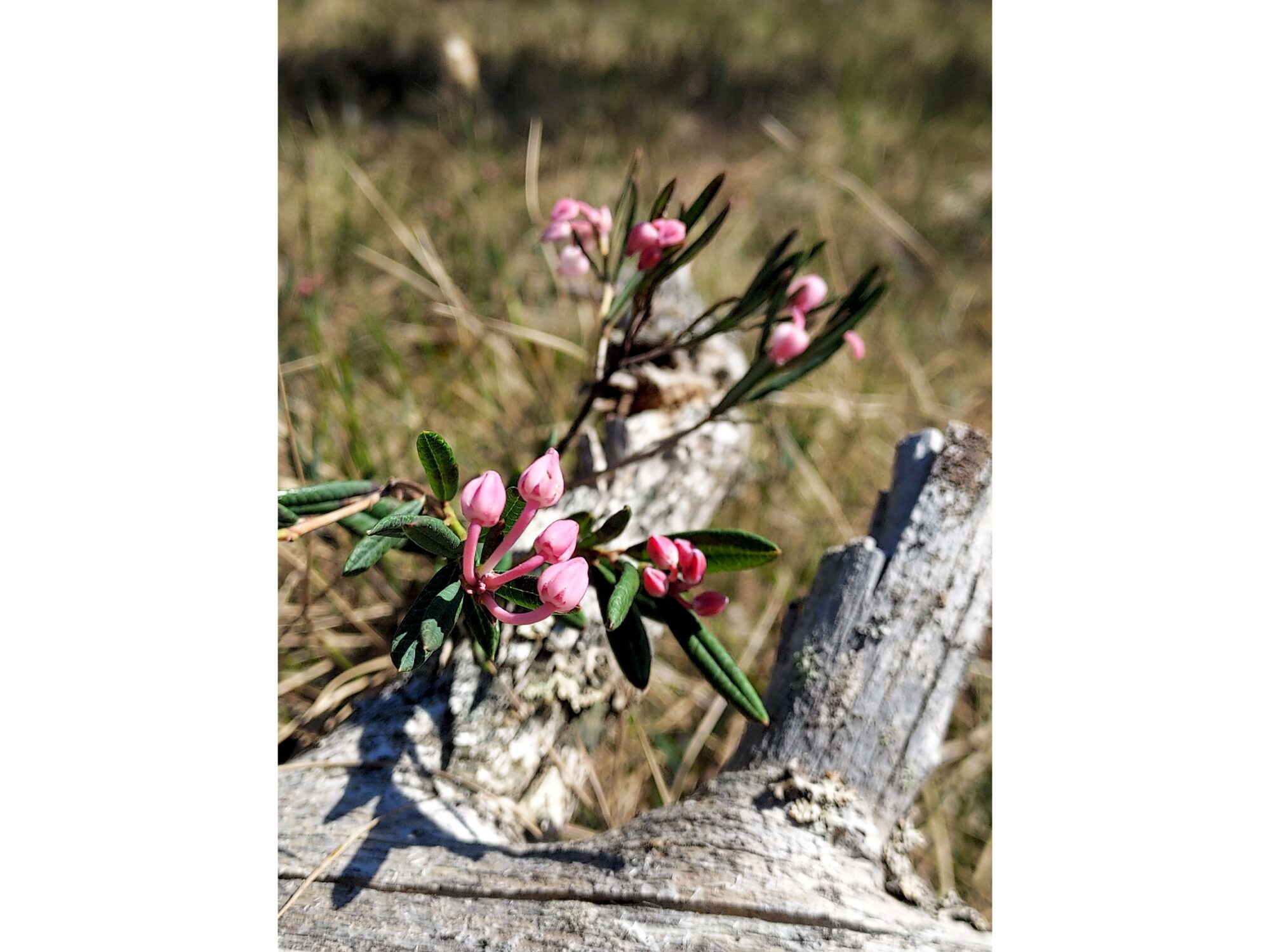 Valokuvaaja: Anu Pajukari