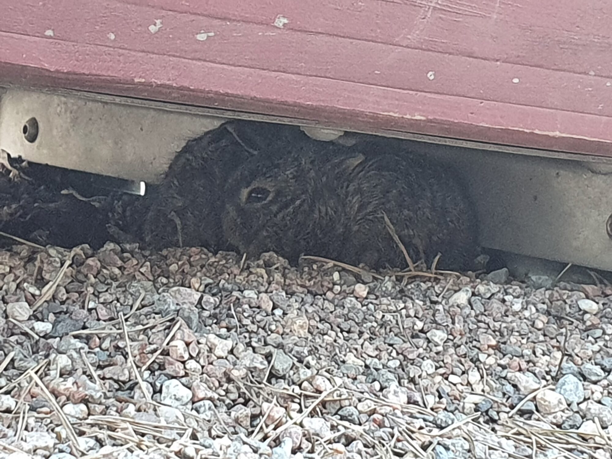 Valokuvaaja: Teija Vallius