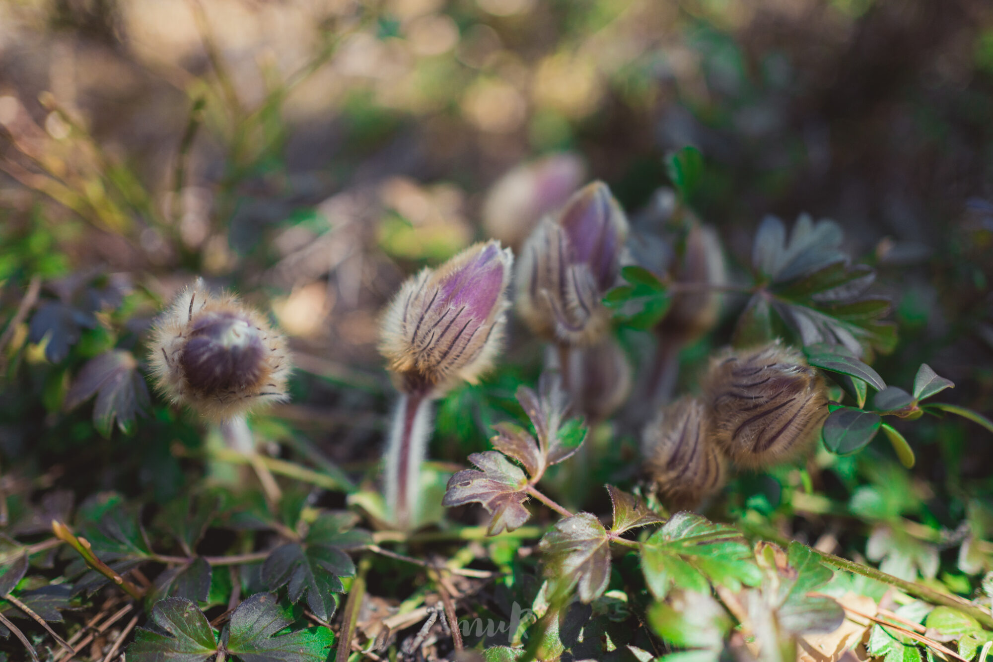 Valokuvaaja: Mari Mur