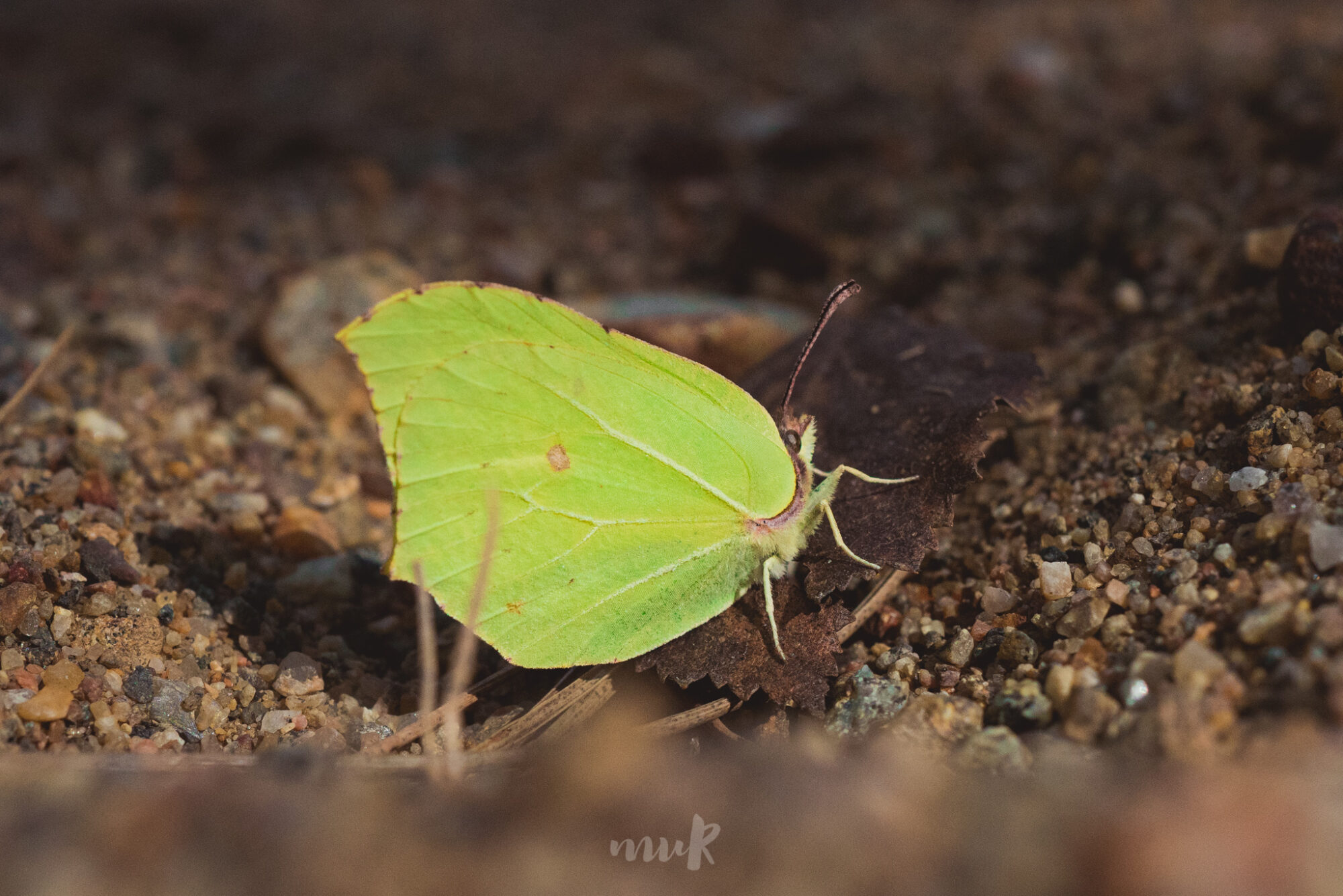 Valokuvaaja: Mari Mur