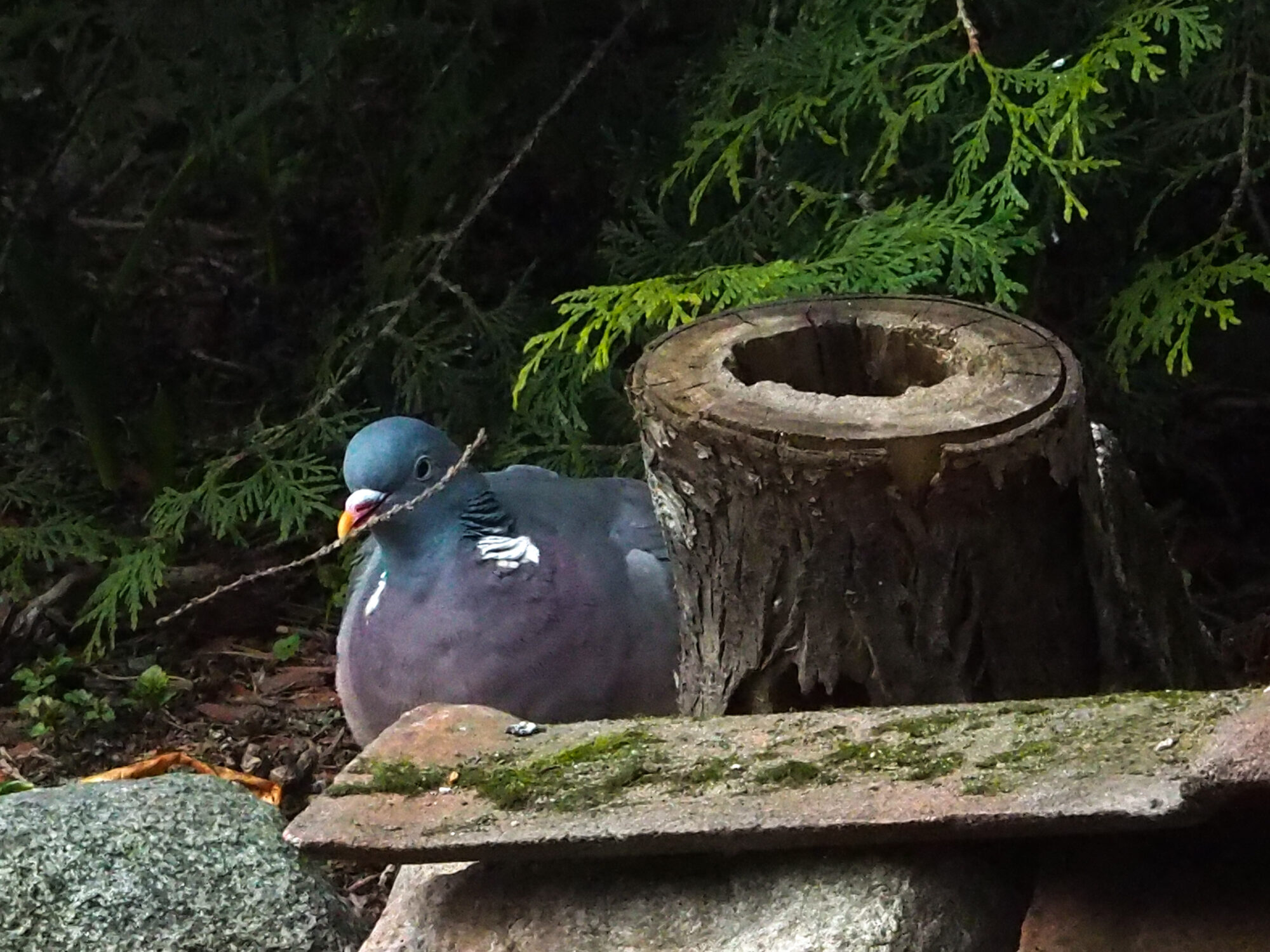 Valokuvaaja: Aki Jalava