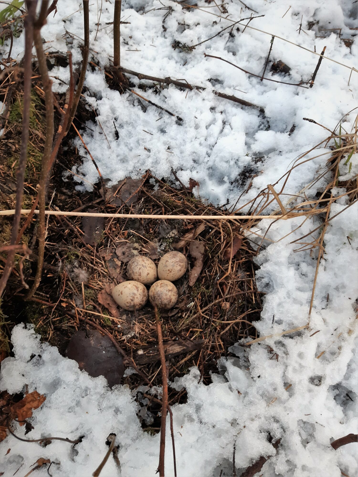 Valokuvaaja: Lahja Toivanen