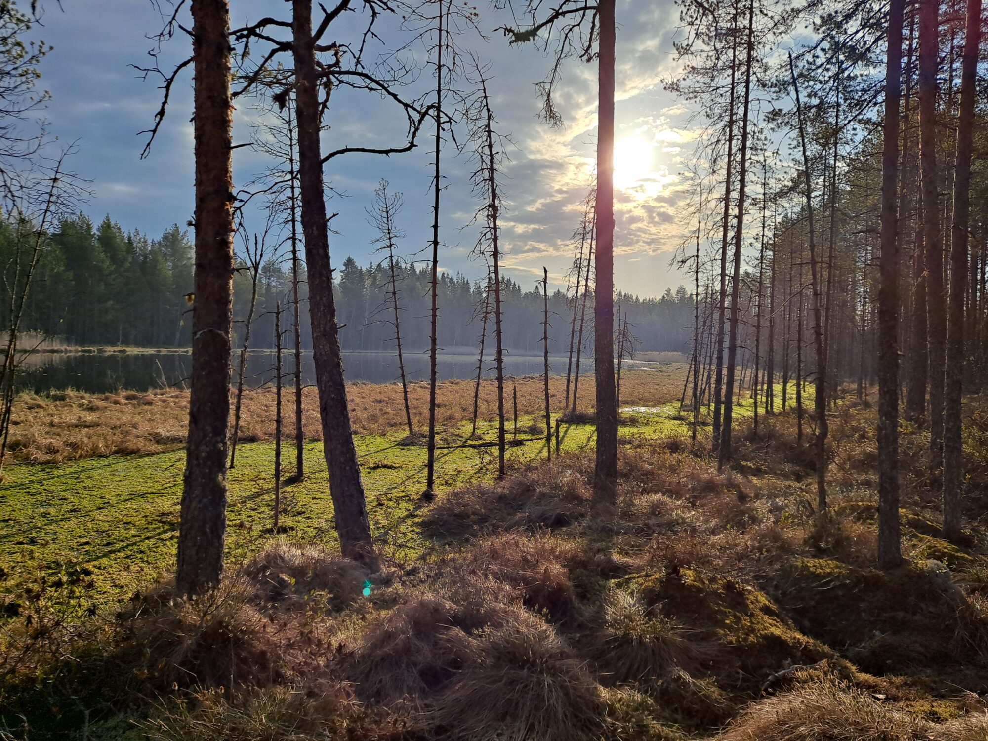 Valokuvaaja: Hannu Rissanen Valokuvaaja: Hannu Rissanen