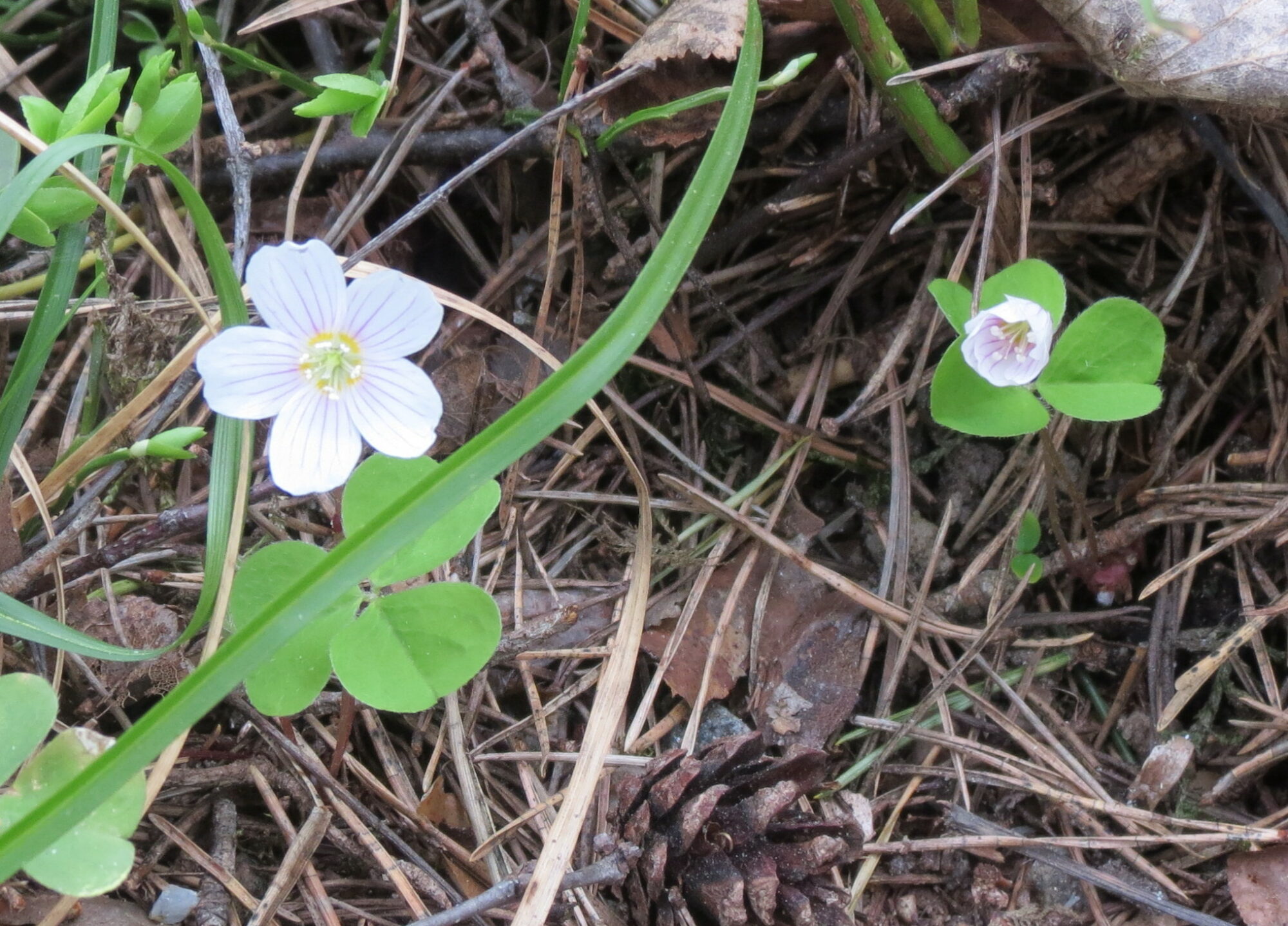 Valokuvaaja: Elina Vuorimaa-Laukkanen Valokuvaaja: Elina Vuorimaa-Laukkanen