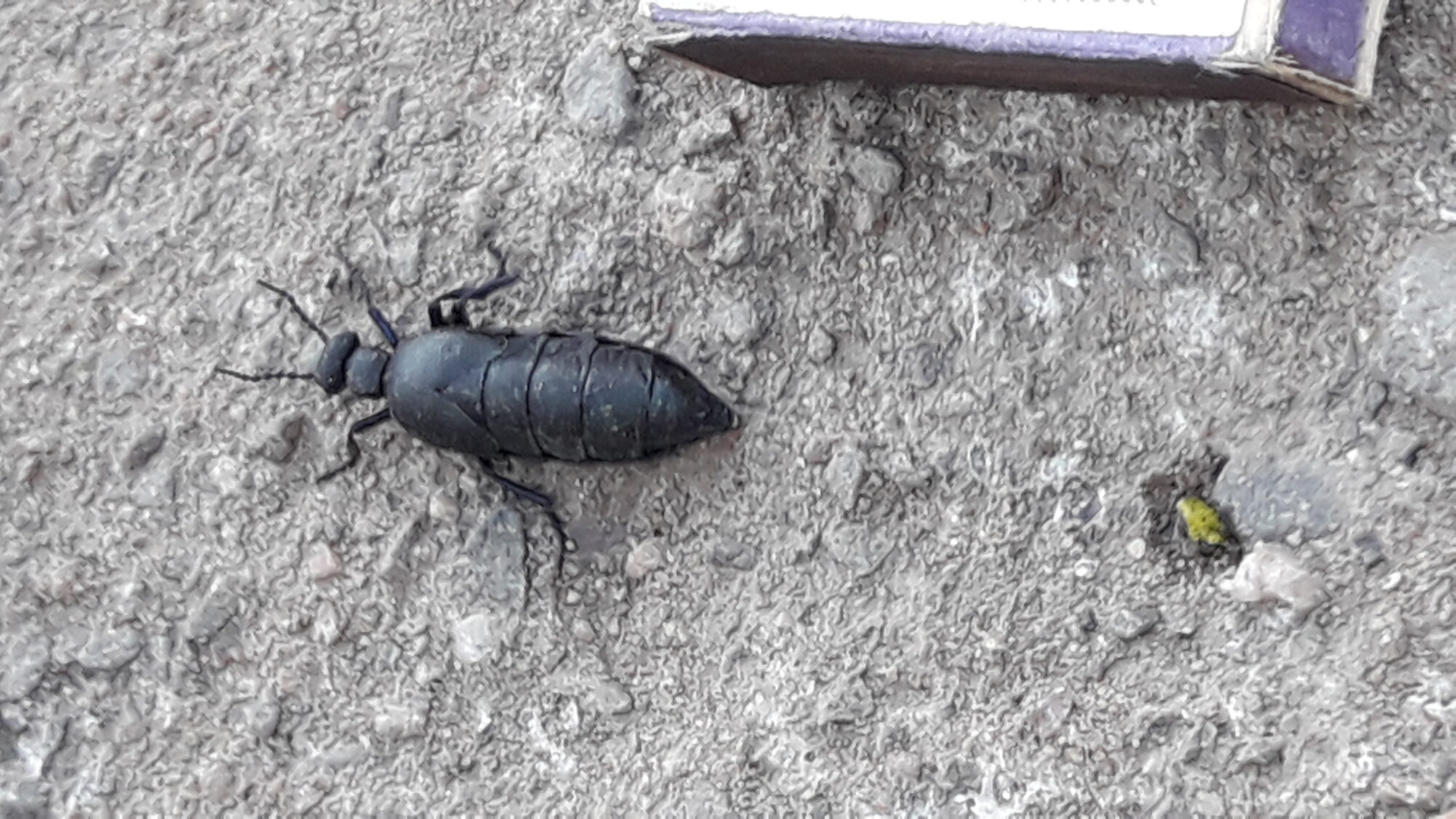 Valokuvaaja: Johanna Saviniemi