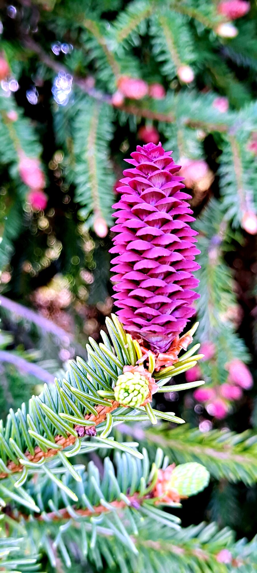 Valokuvaaja: Raisa Vuokola