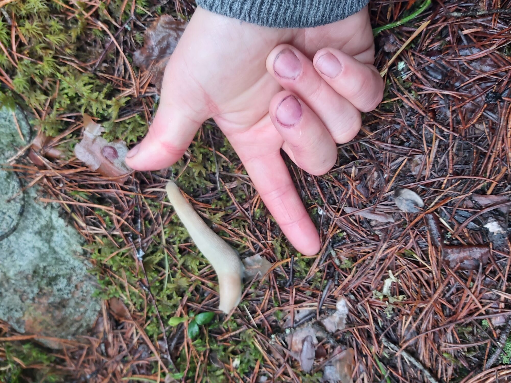 Valokuvaaja: Sanna Åström