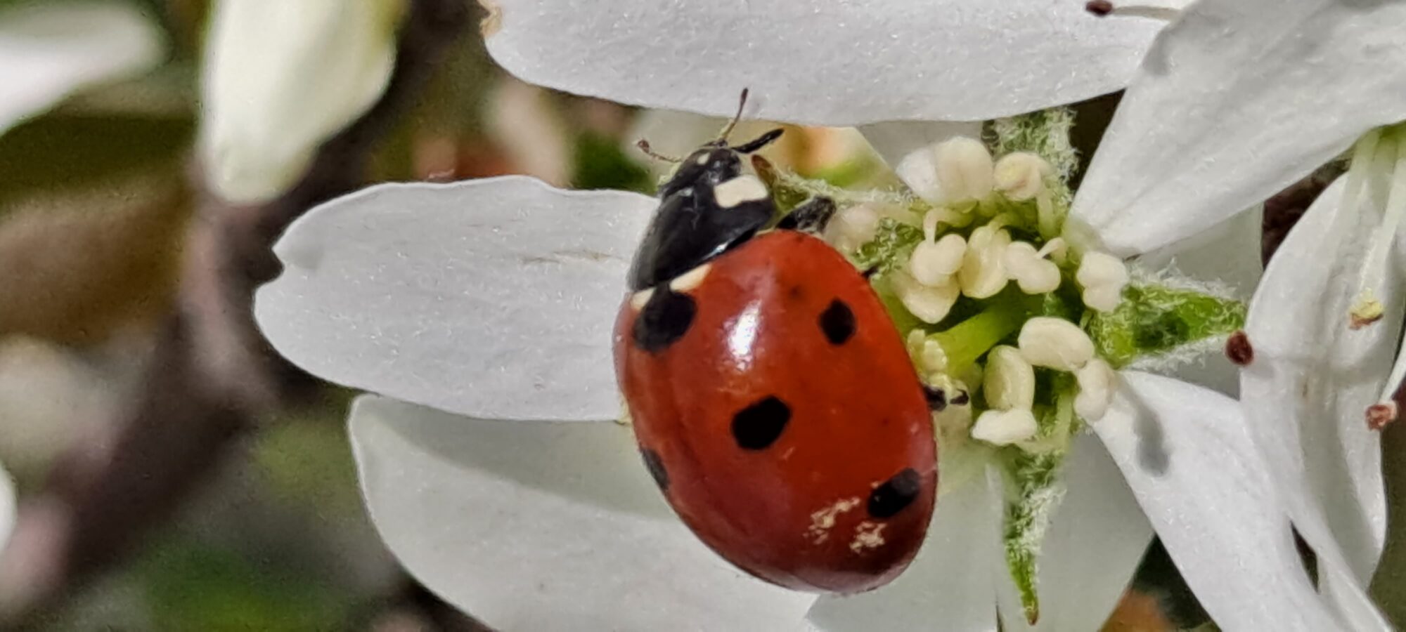 Valokuvaaja: Raisa Vuokola