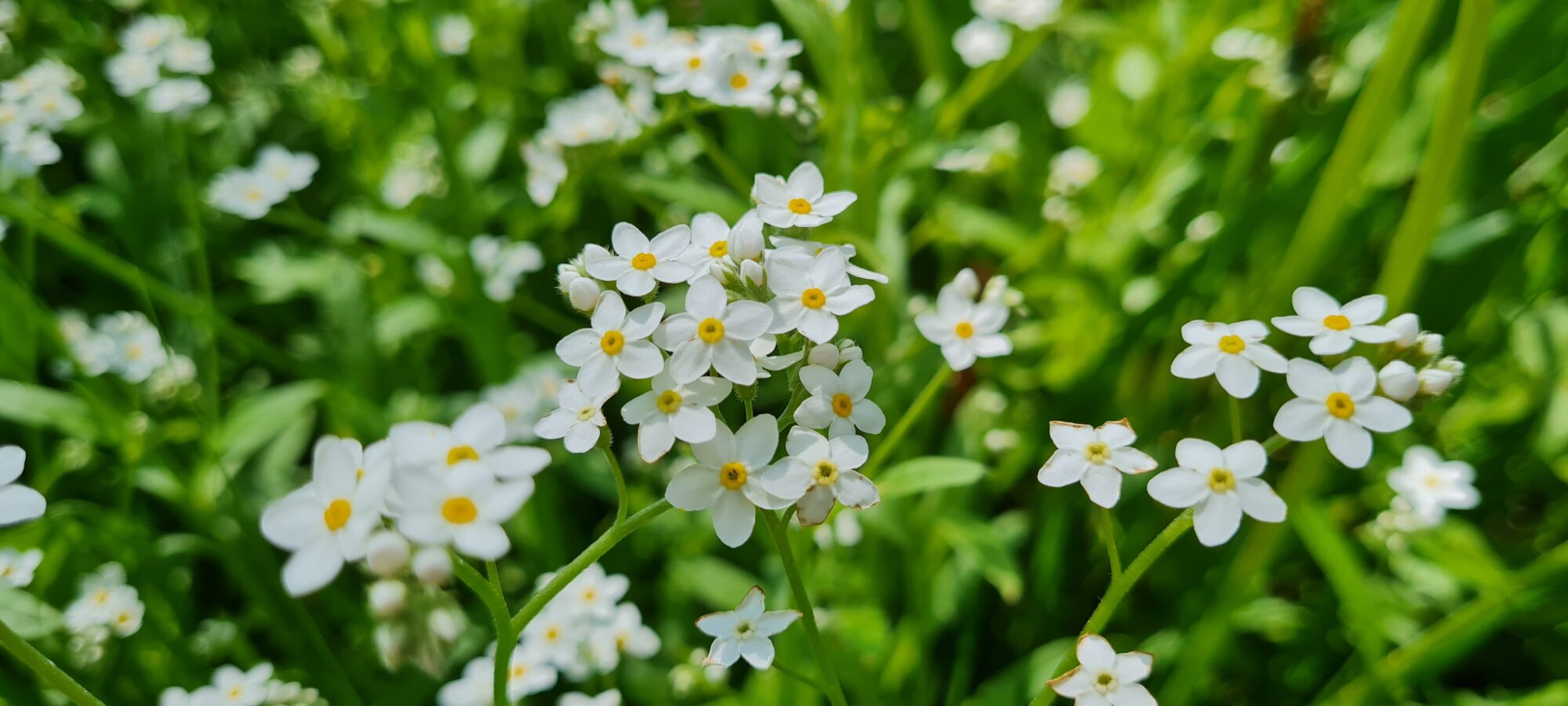 Valokuvaaja: Mari Ahtola